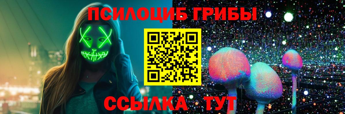 APVP Тара