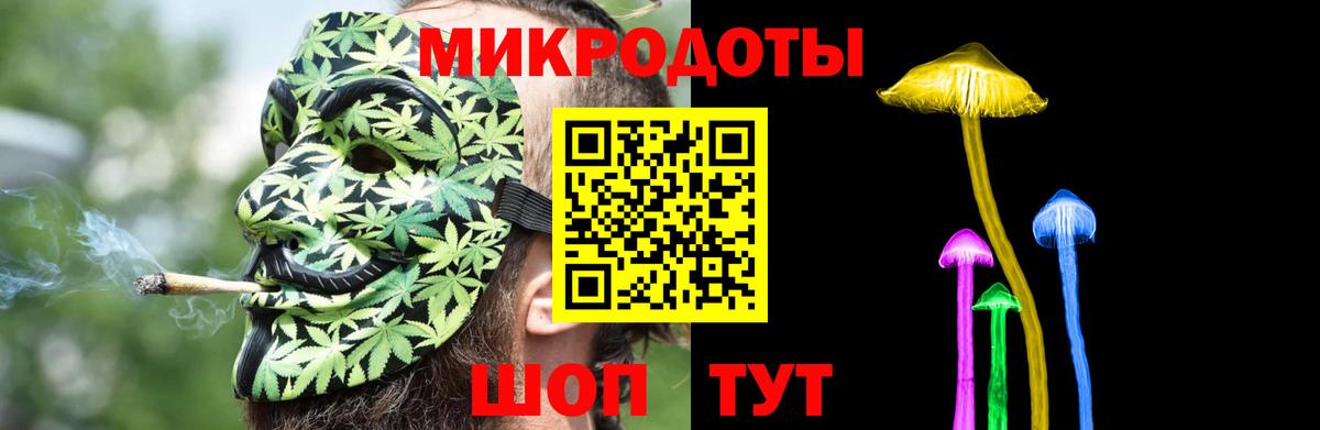 Тара  Галлюциногенные грибы Cubensis  Вход с VPN 